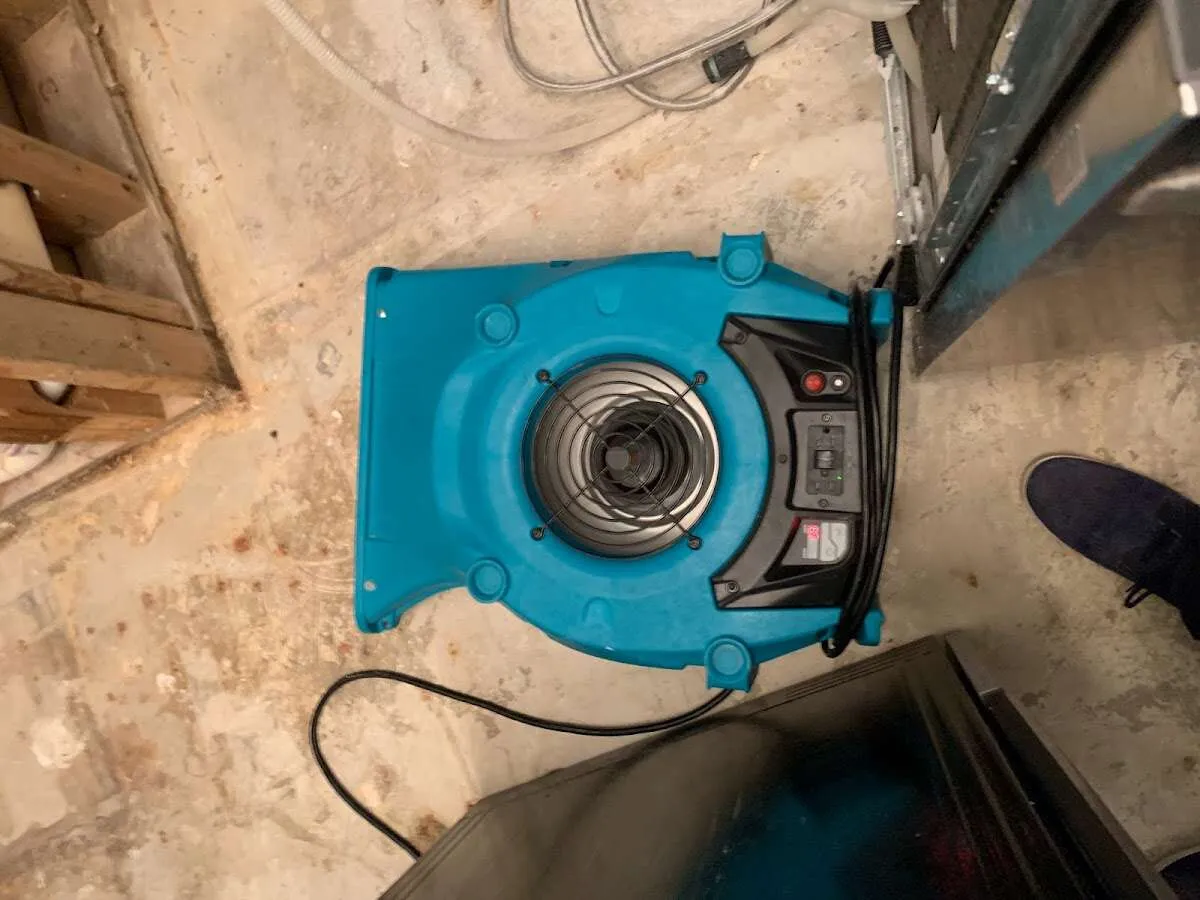 Air mover drying equipment for Mold Remediation & Removal in North Alamo