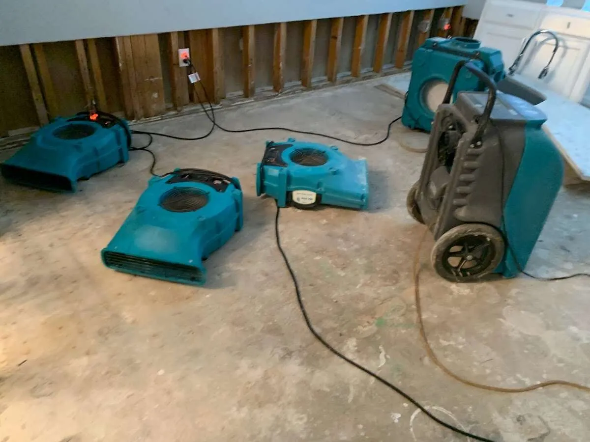 Water Damage Restoration services in North Alamo, TX